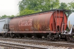 CP 607145